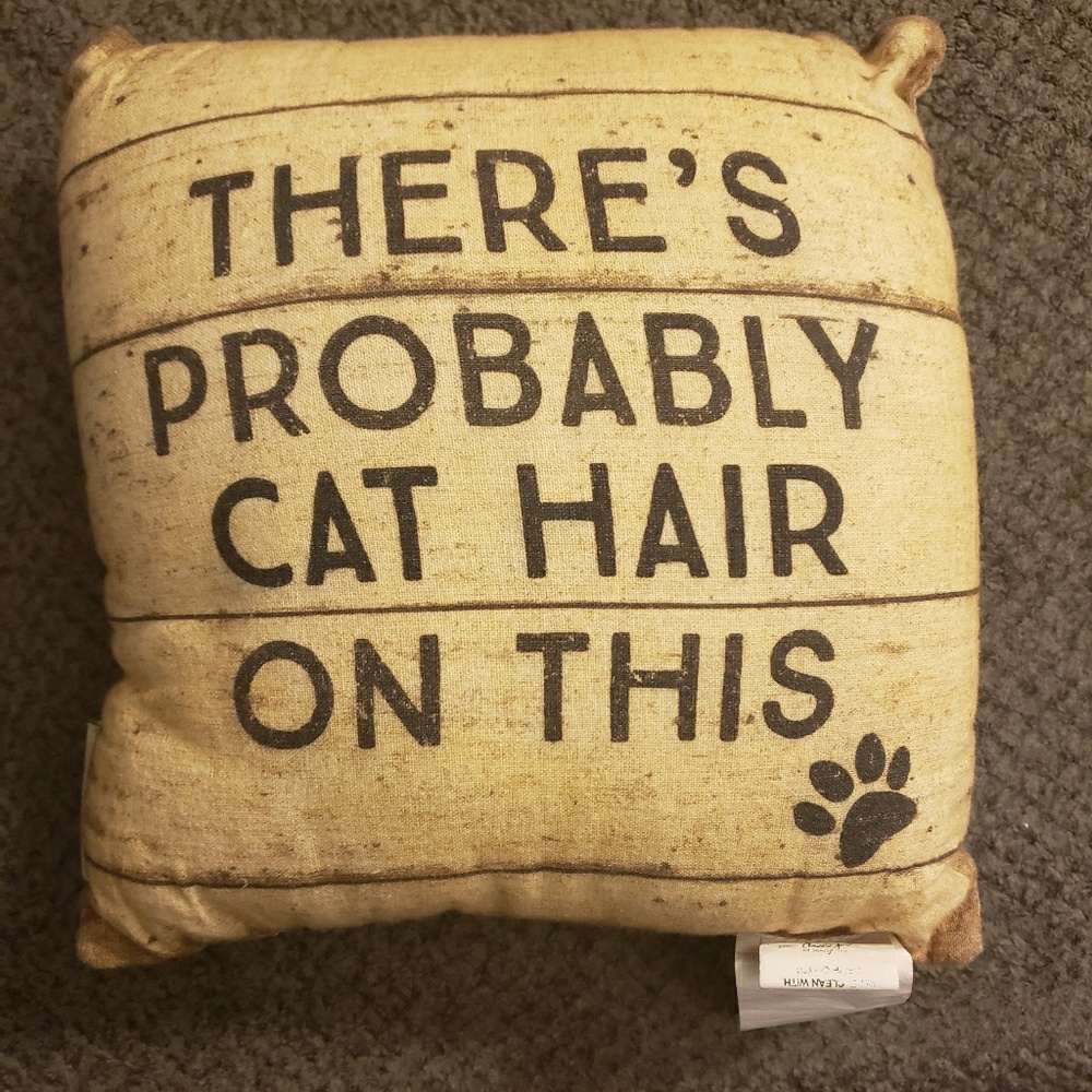 12x12in flip pillow i sleep with cats